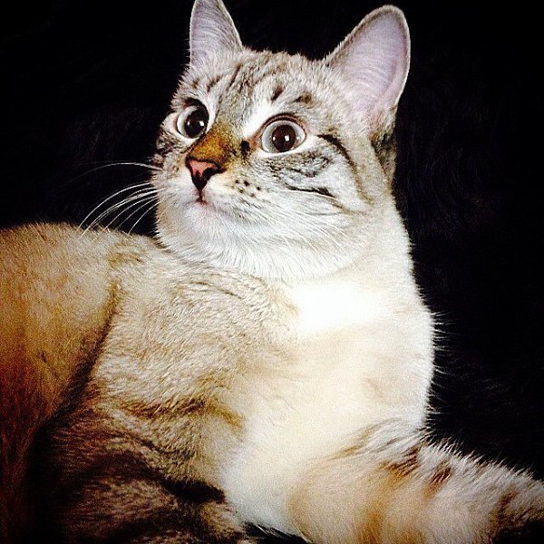  . 15  2014    ,          ... - 5