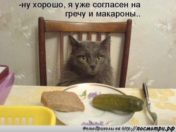       - 7  2016  03:31