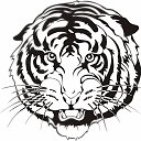 ���� ����, ������, 40 ��� - ��������� 19 ������ 2016 � ������ ���� ����������