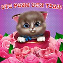 ���� ����, ����������-��-�����, 56 ��� - ��������� 23 ������� 2015 � ������ �������� ��������