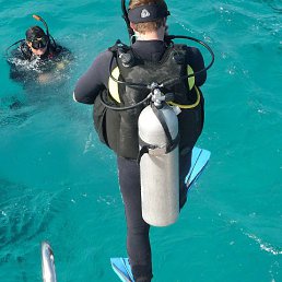 �������, ������������, 49 ���