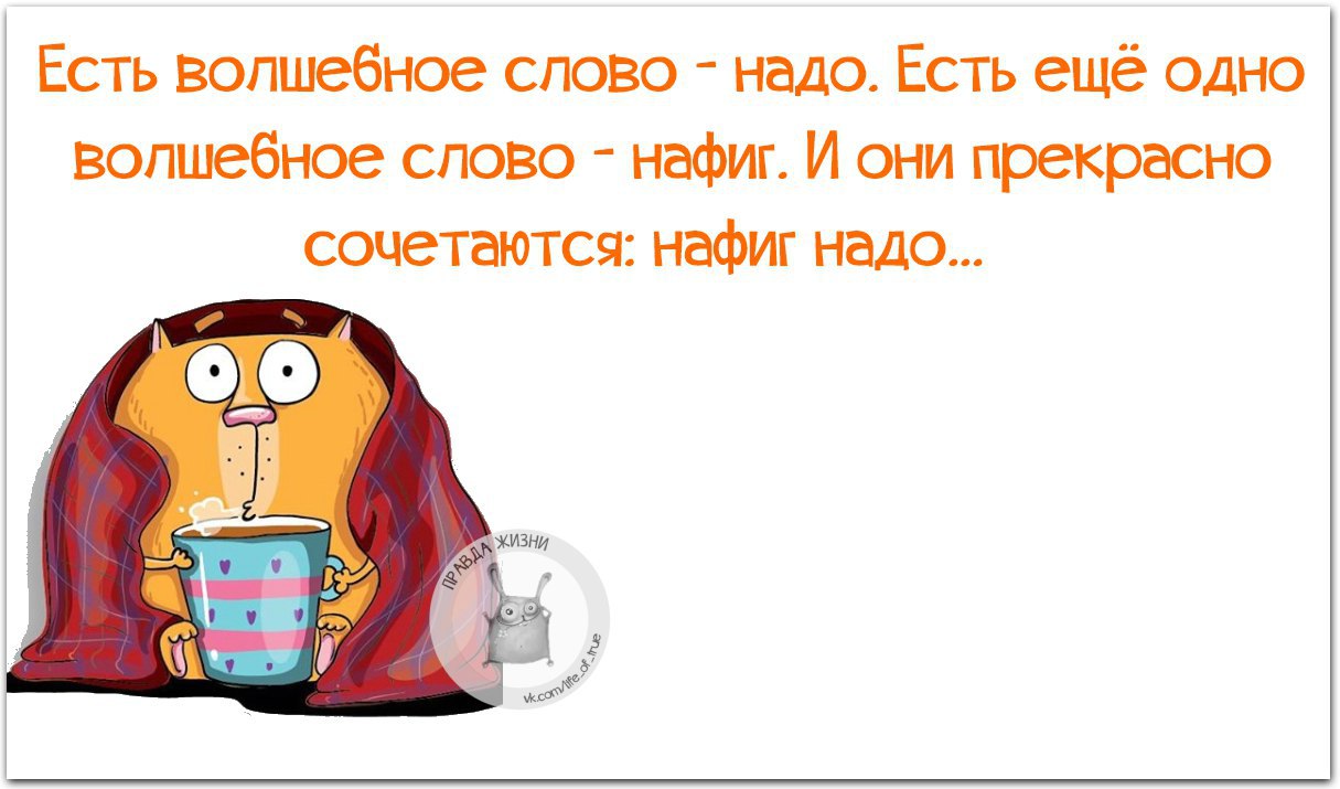   - 11  2016  16:11