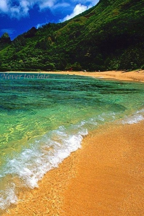 ����� ����� ������� �����, � � ������� �������� ������, �������� ����������� �����. ���� ���� ���.