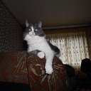 ���� Olezhka***, ����, 65 ��� - ��������� 25 ������� 2015 � ������ ����� ���������