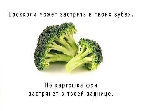    |   - 21  2015  13:42