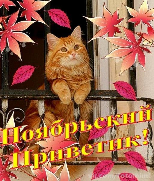 Вновь ноябрь убавляет ненастные дни, Покрывает ледком неглубокие лужи. Старый клен под дождем ...