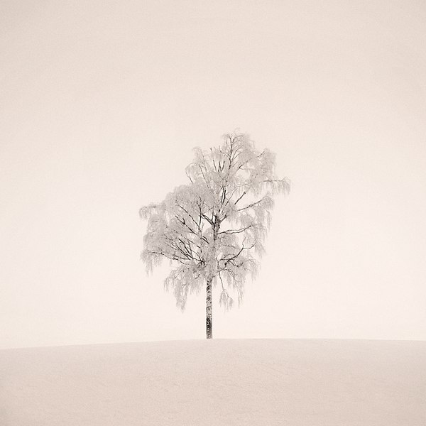 A l o n e.: Mikko Lagerstedt