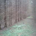 ���� ������, ����, 40 ��� - ��������� 8 ������� 2015 � ������ ���� ����������