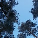 ���� ������ �������, ����� - ��������� 8 ������ 2016 � ������ ����������� ����!!!�