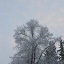  , -, 61  -  17  2016   .