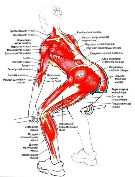   .  #@fitness.blog - 6