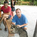 ���� ������, ����, 51 ��� - ��������� 1 ������ 2015 � ������ ���� ����������