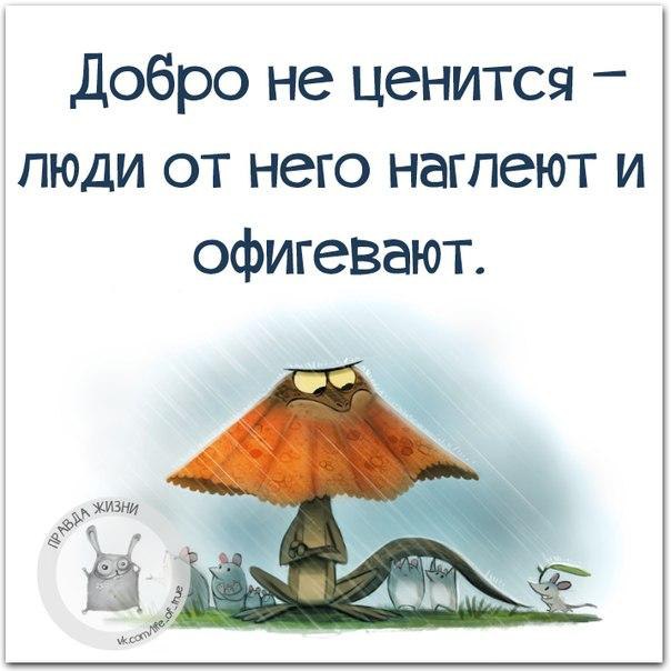   - 25  2015  20:46
