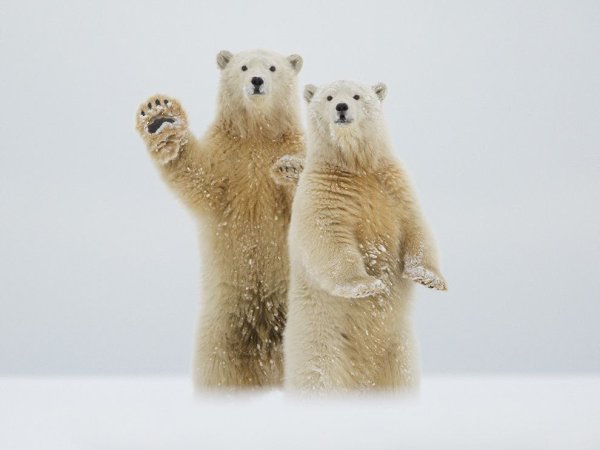 В объективе лучшие фотографии августа 2015-го от журнала National Geographic и National Geographic ... - 6