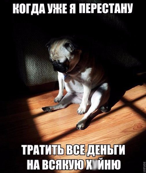    :D - 12  2015  14:05