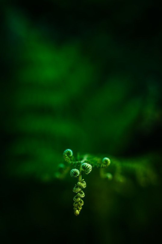   - 1  2015  12:03 - 4
