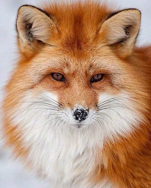   - 23  2016  02:59 - 5