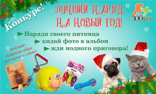 Jingle Bells, Jingle Bells!    -> https://fs-play.com/away?to=/sl/Agk1    ...