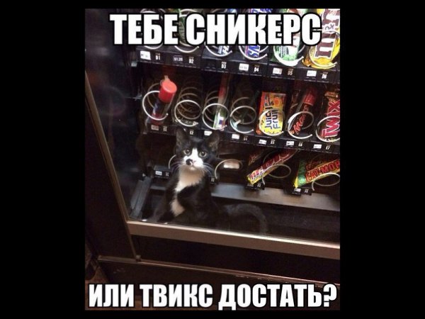 -  - 19  2016  16:55