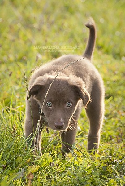 ������ ������ - 3 ������ 2015 � 17:53