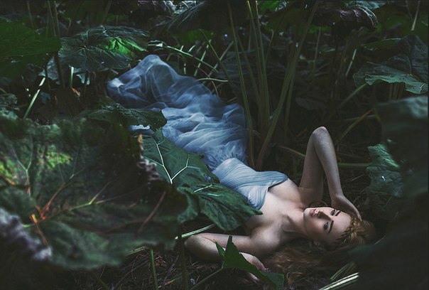 : Alexandra Cameron - 8