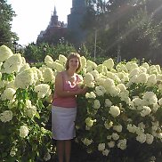 �������, 51 ���, ������ ��������