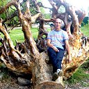 ��� � ������ �� ������� ���� ����������