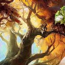 ���� �����, ���� - ��������� 29 ������� 2016 � ������ ������ ��������