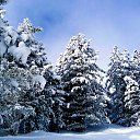 ���� �������, ����������� - ��������� 24 ������� 2015 � ������ ���� ����������