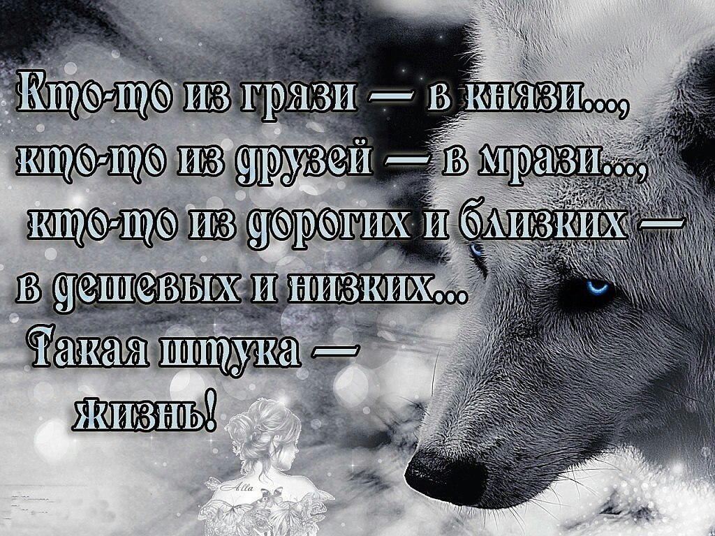   - 25  2016  20:50