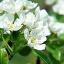 ���� ����, ������, 44 ���� - ��������� 2 ������� 2015 � ������ ���� ����������