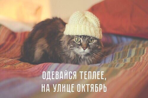  - 19  2015  14:47