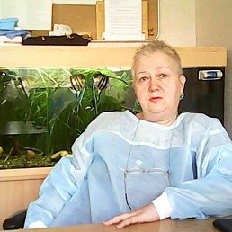 ���� �����, ���������, 72 ���� - ��������� 25 ������� 2016