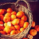 ���� Ya, ������ - ��������� 16 ������ 2015 � ������ ���� ����������