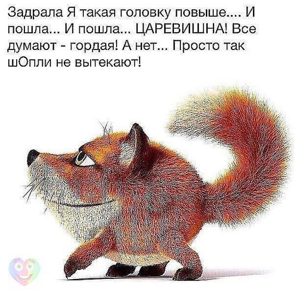  ( ) - 3  2016  20:20