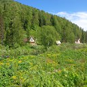 ���� Timofei, �����������, 43 ���� - ��������� 29 ������� 2015