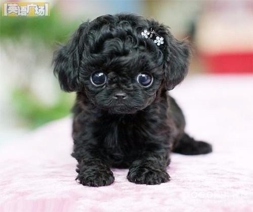 Fashion Club - 4  2016  20:12