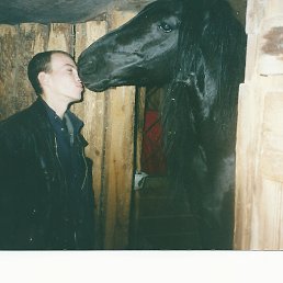 �����, �����-���������, 43 ����