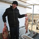 ���� �����, ������, 40 ��� - ��������� 12 ������� 2015 � ������ ���� ����������