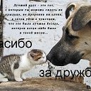 ���� * �@����@, �����-��������� - ��������� 6 ������ 2016 � ������ ������ ��������