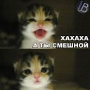 ���� ������, ������� - ��������� 26 ������� 2015 � ������ ������ ��������