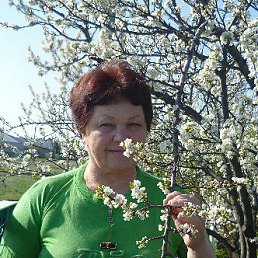 ���� �������, ����������, 73 ���� - ��������� 12 ������ 2016