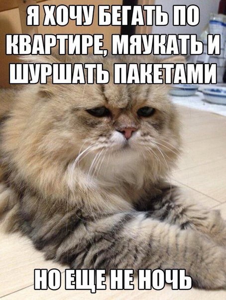       - 3  2015  08:30