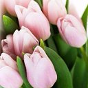 ���� ��������� ���������, ��������� - ��������� 6 ����� 2016 � ������ ���� ����������