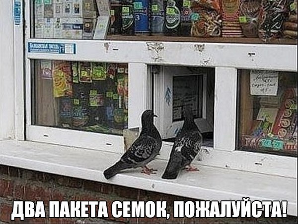    :D - 4  2015  08:09