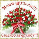 ���� ��������, ������, 49 ��� - ��������� 8 ������� 2015 � ������ �������� ��������