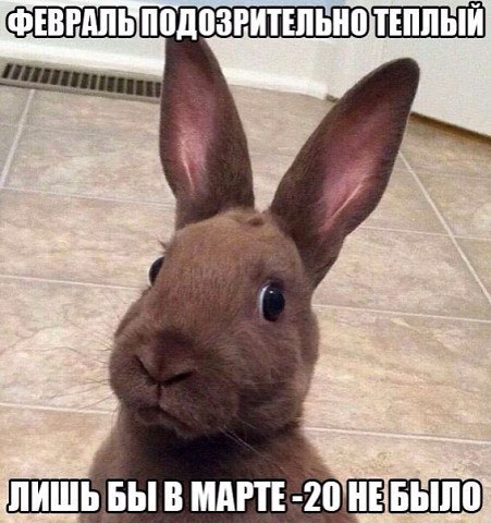 Vladimir Lyakh - 18  2016  00:37