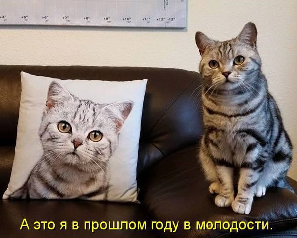       - 9  2016  18:30