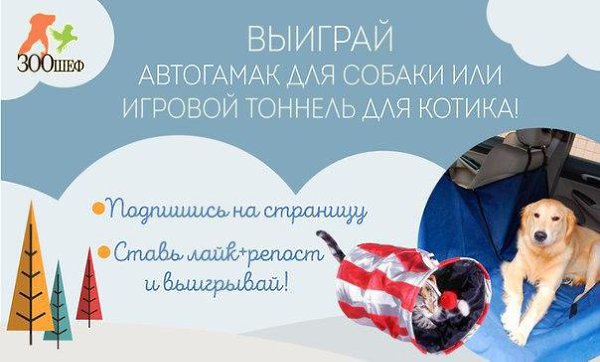 Зоошеф дарит игровой тоннель для котика и автогамак для собаки! Побалуйте своих четвероногих и ...