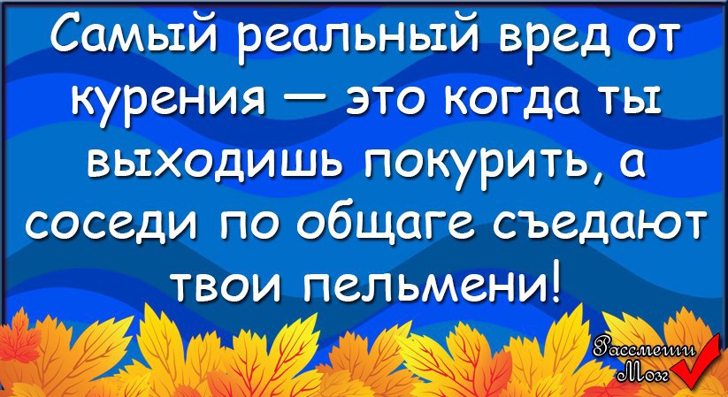  - 17  2015  11:52